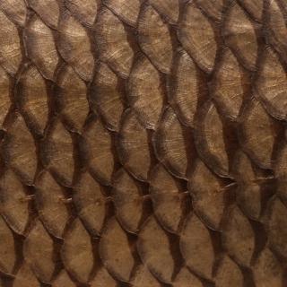 Photo Textures of Animal Skin 